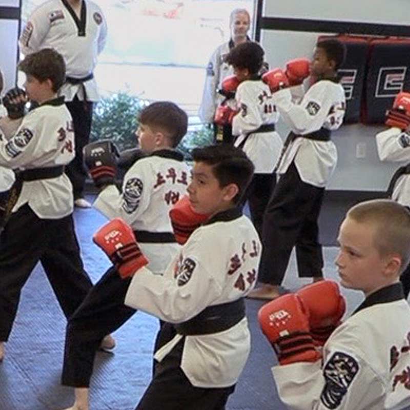 Dragons (7-12 Years)
